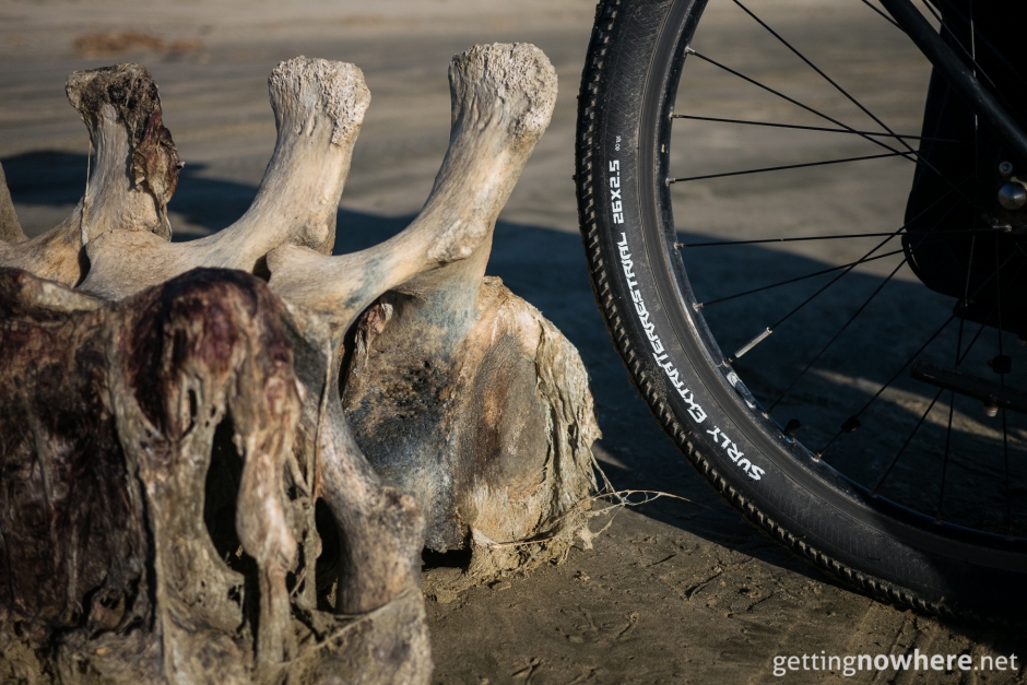 Surly ExtraTerrestrial whale