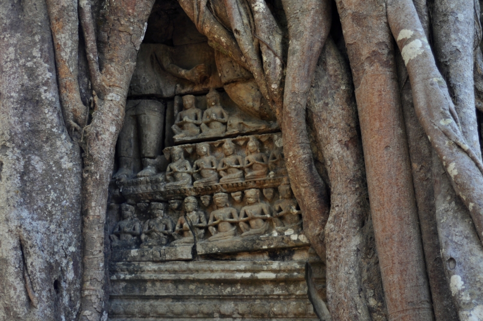 Stone carvings hidden in the tree