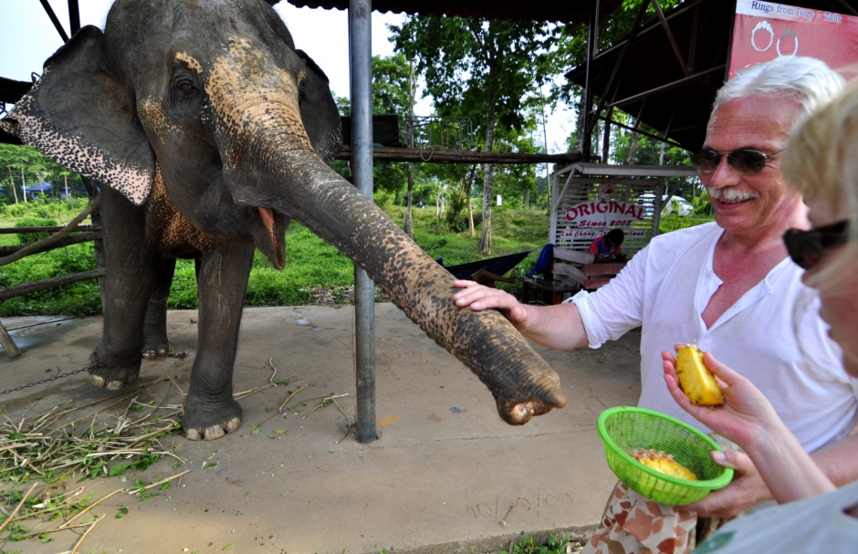 Feeding an elephant - Koh Chang