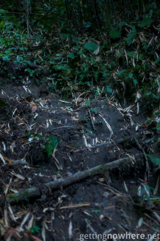 A lot of mud in the jungle
