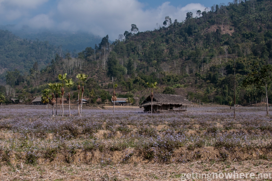 Arunachal Pradesh landscape