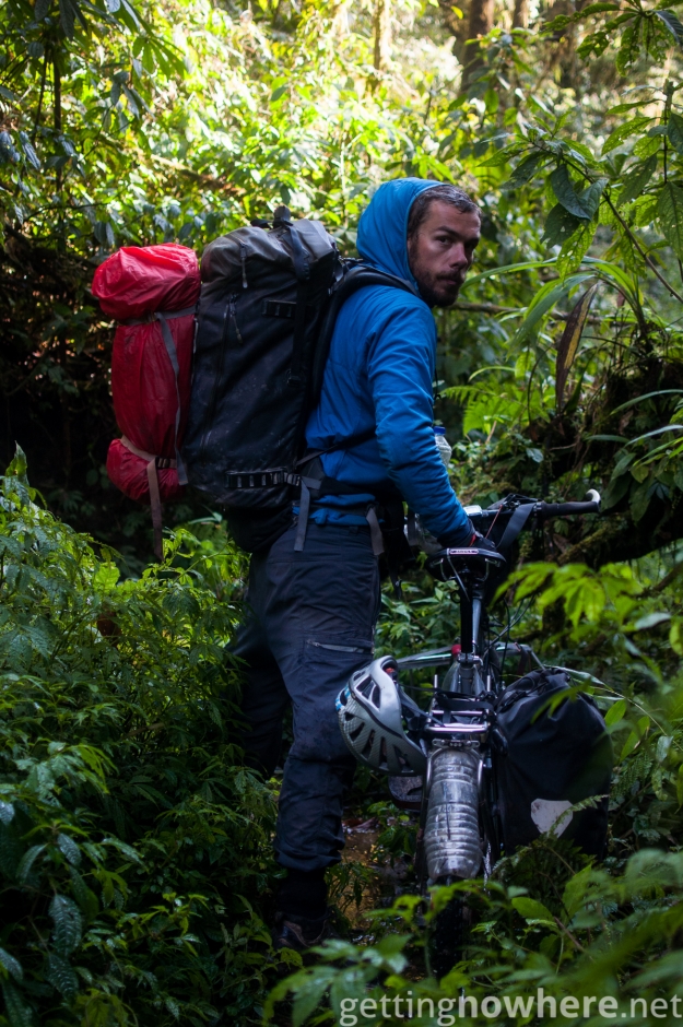 By bike through the jungle
