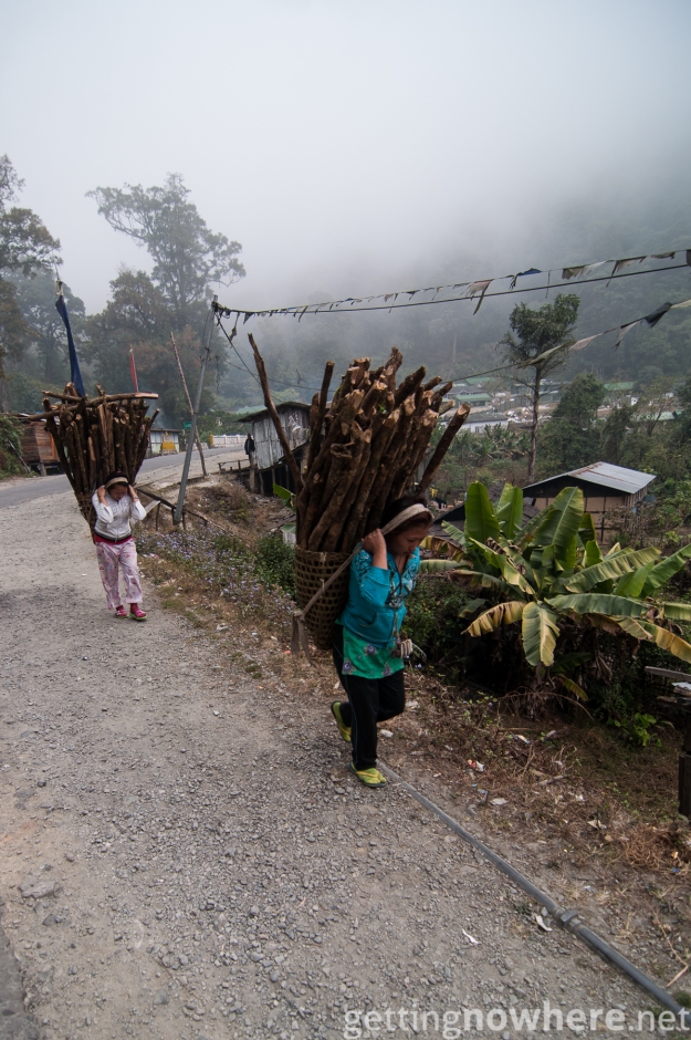 Carrying fire wood-Arunachal Pradesh