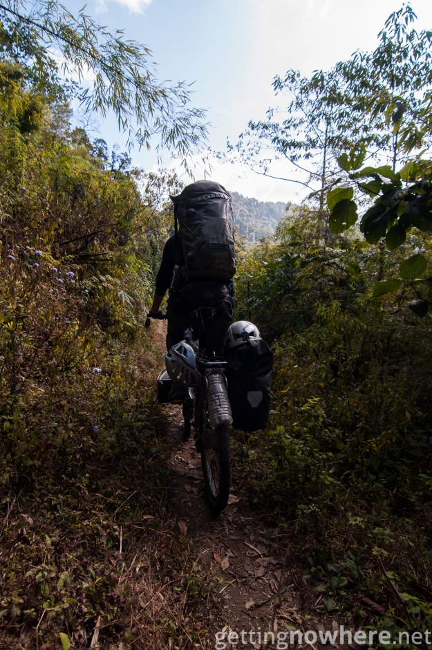 Cycling into the jungle
