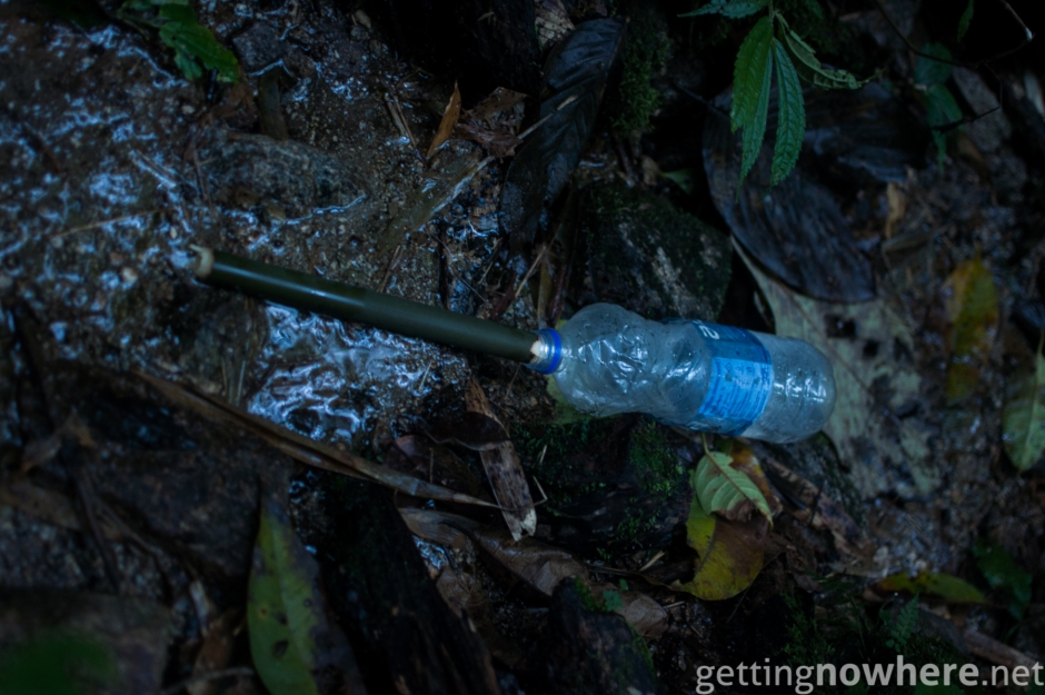 Drinking water in the jungle