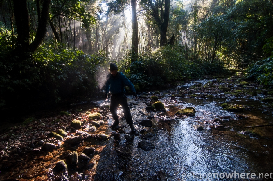 Find your way across the jungle river