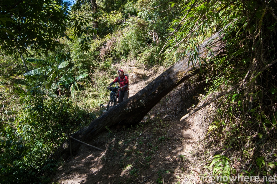 Into the jungle with the bike