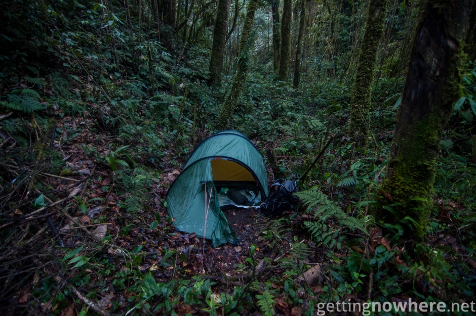 Jungle-camping