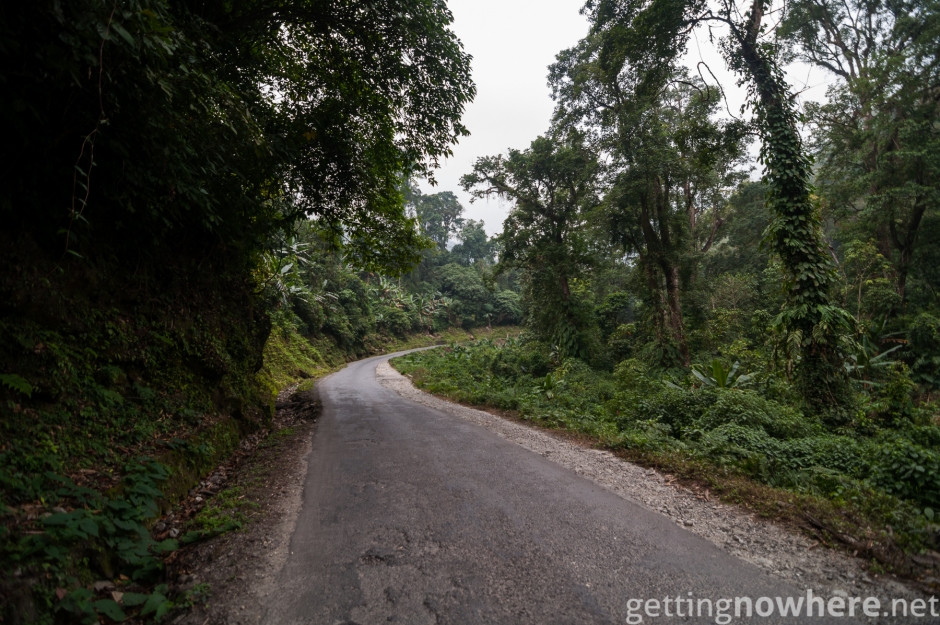 Jungle in Arunachal Pradesh