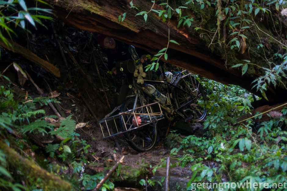 Jungle obstacles