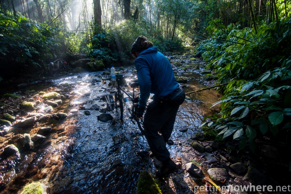 Jungle river