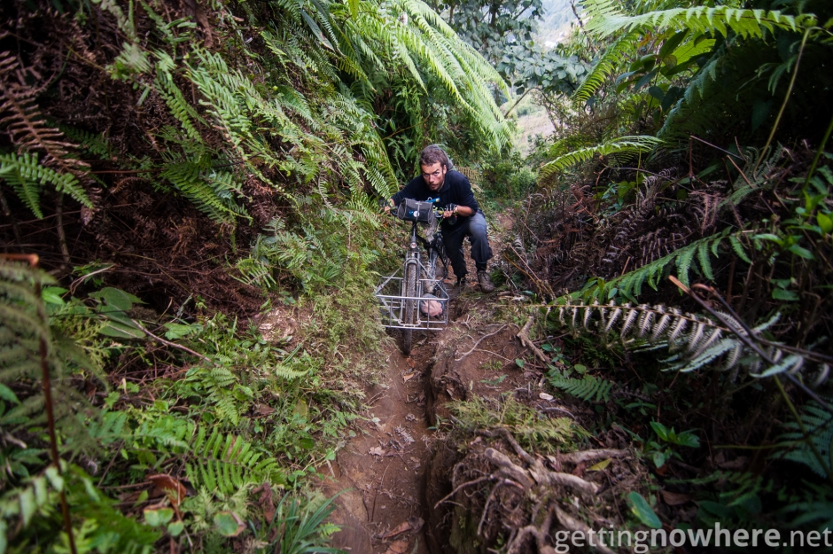 Mat going into the jungle