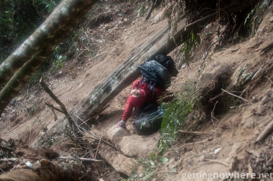 On the way from the jungle