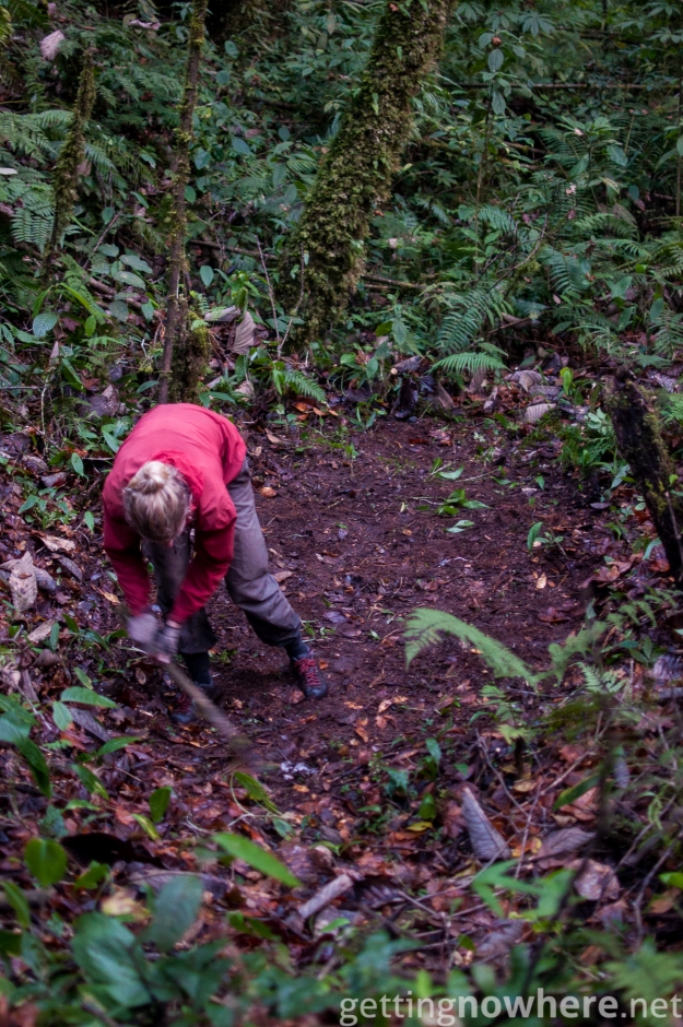 Preparing the ground in the jungle