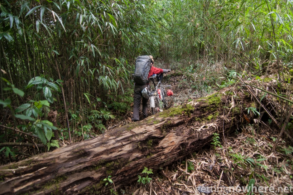 Pushing the bike trough the jungle