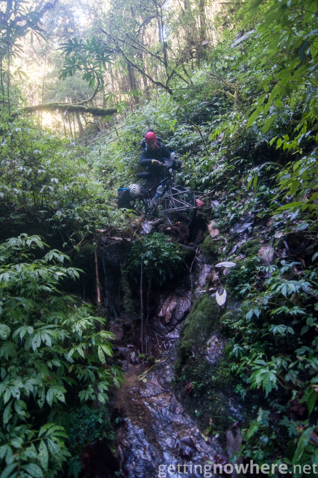 Steep path in the jungle
