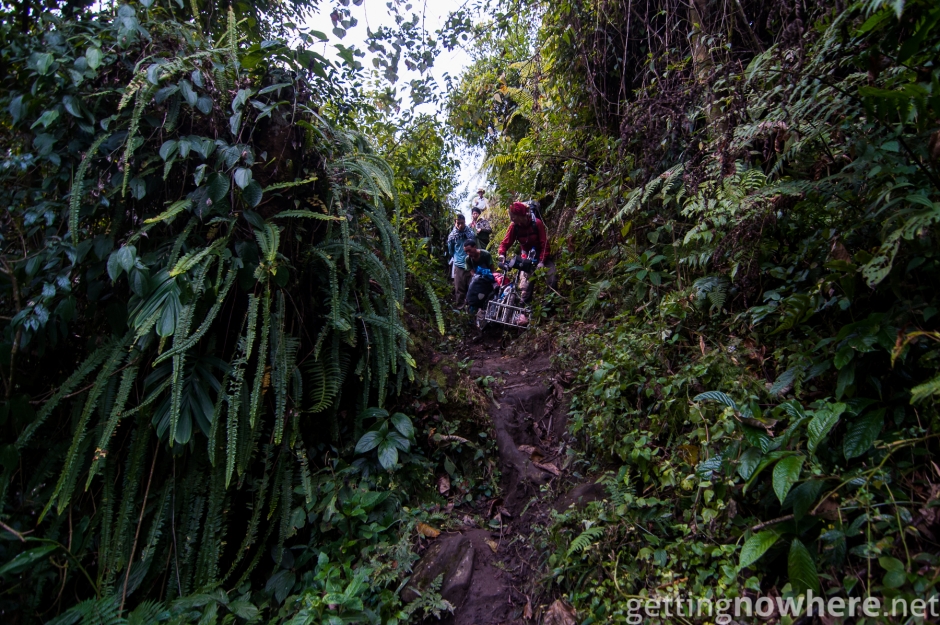 Steep way into into the jungle