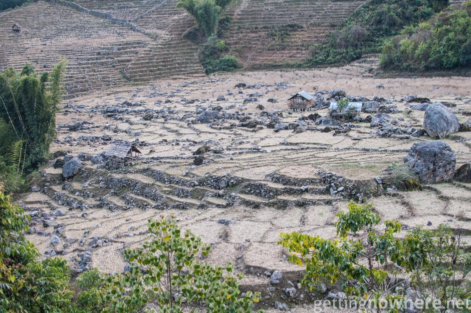 Terrace landscape - Arunachal Pradesh