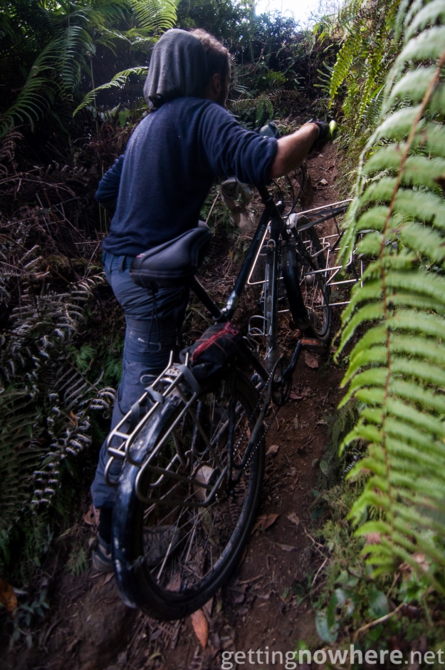 Through the jungle with the bike