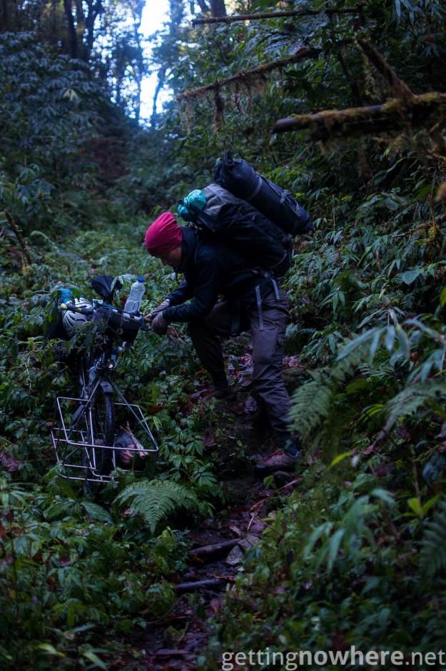 With the bike in the jungle