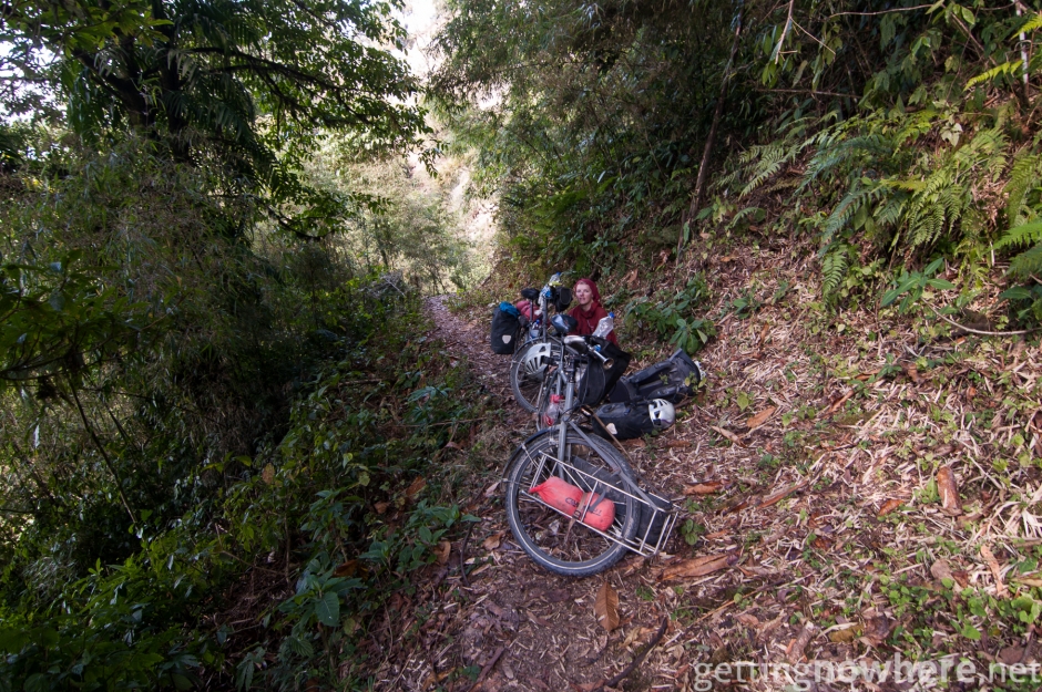 With the bikes into the jungle