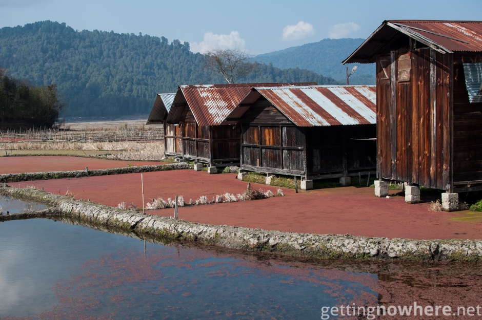 Ziro Valley