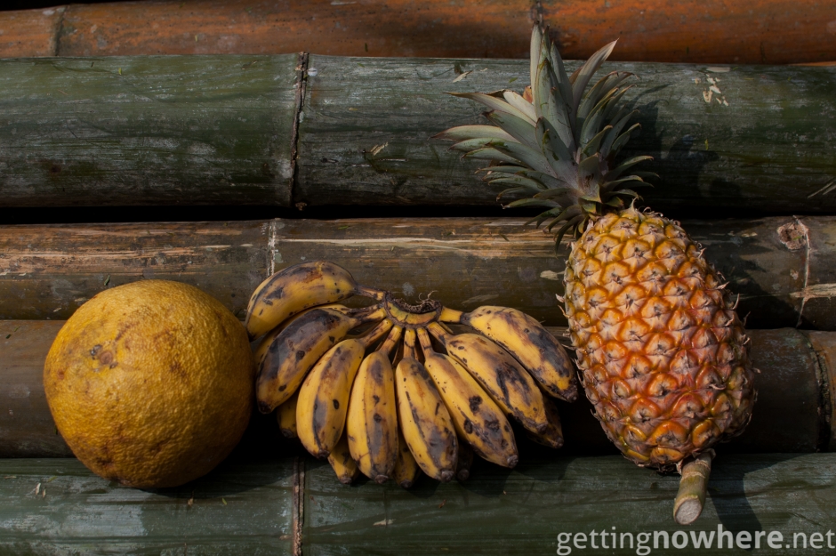 Fruit lunch