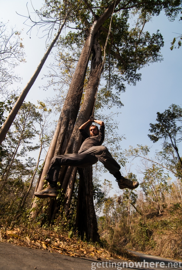 Mat aka Tarzan