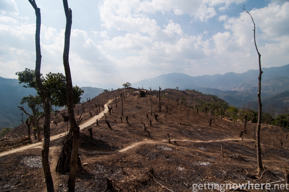 Slash and burn in Nagaland